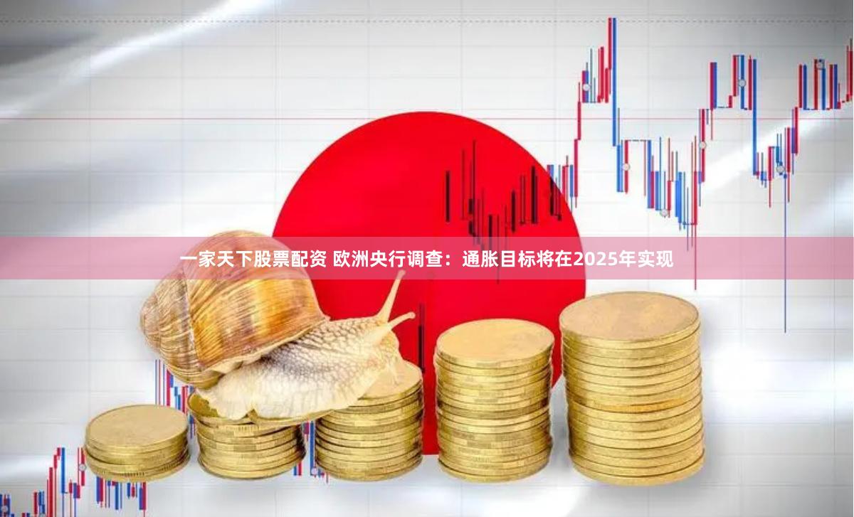 一家天下股票配资 欧洲央行调查：通胀目标将在2025年实现