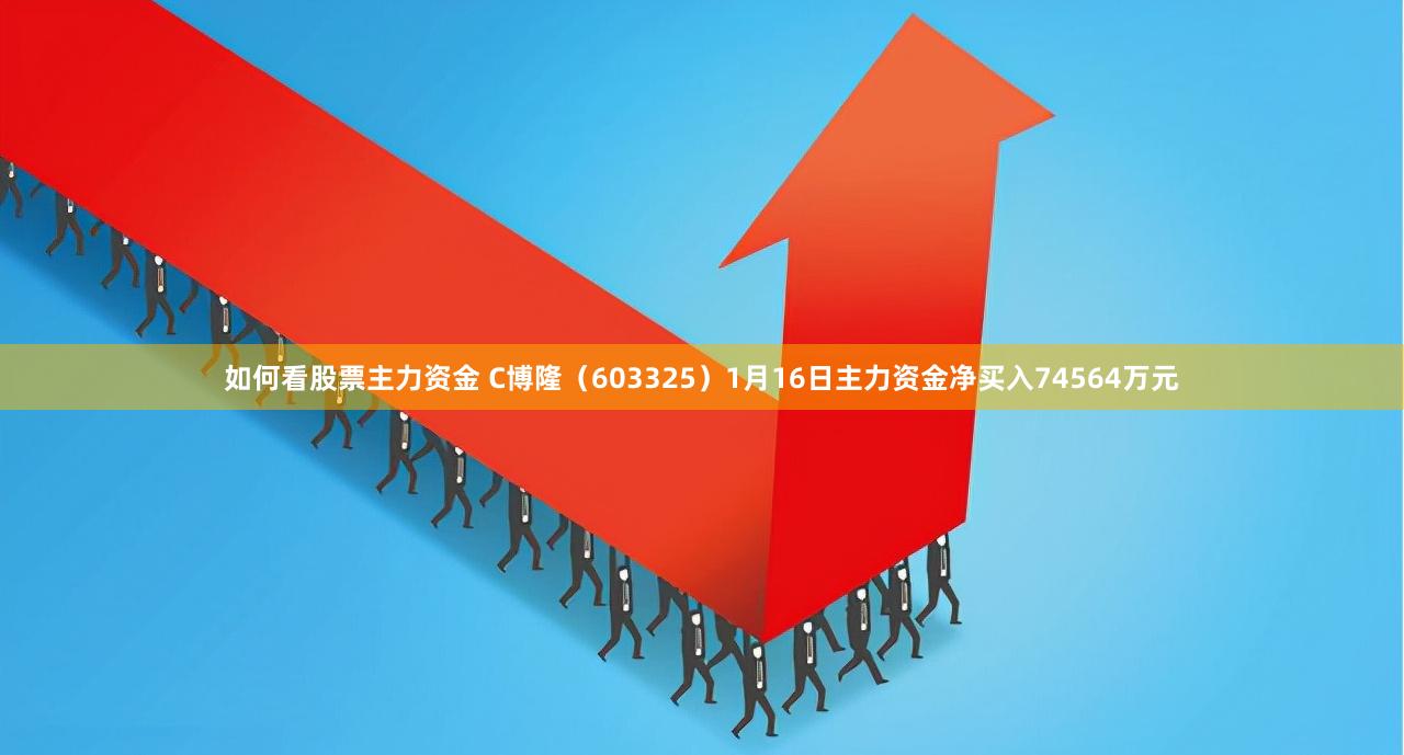 如何看股票主力资金 C博隆（603325）1月16日主力资金净买入74564万元